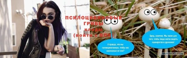 прущий лед Арсеньев
