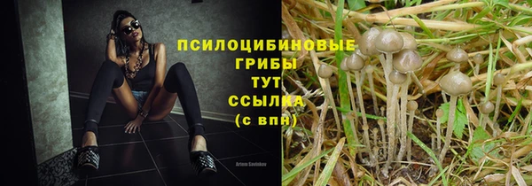 дмт Армянск